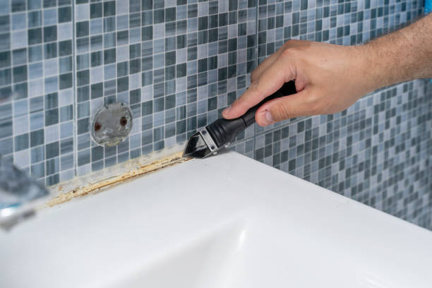 Best Preventive Mold Services in Macarthur, WV